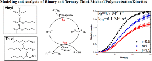 Mechanistic Modeling of the Thiol–Michael Addition Polymerization Kinetics: Structural Effects of the Thiol and Vinyl Monomers — graphical abstract