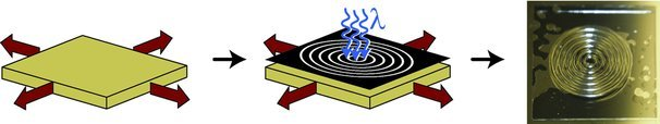 Mechanophotopatterning on a Photoresponsive Elastomer — graphical abstract