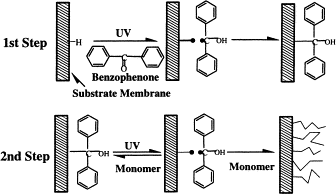Membrane fouling reduction by backpulsing and surface modification — graphical abstract
