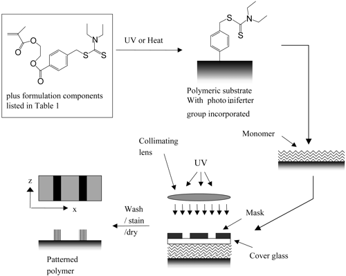 A Methacrylated Photoiniferter as a Chemical Basis for Microlithography:  Micropatterning Based on Photografting Polymerization — graphical abstract