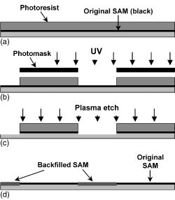 Micropatterning organosilane self-assembled monolayers with plasma etching and backfilling techniques — graphical abstract