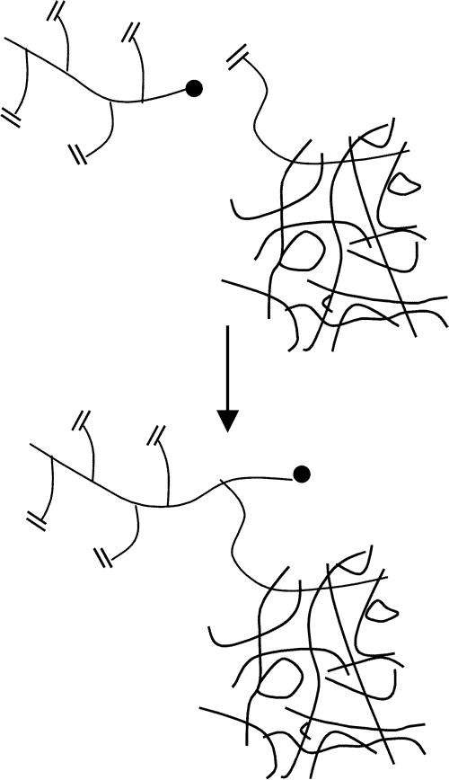 A Modeling Investigation of Chain Length Dependent Termination during Multivinyl Free Radical Chain Photopolymerizations:  Accounting for the Gel — graphical abstract