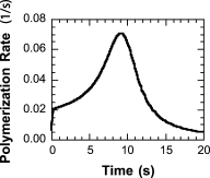 Models of multivinyl free radical photopolymerization kinetics — graphical abstract