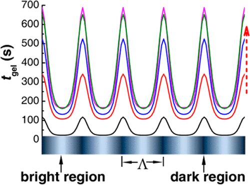 Monochromatic Visible Light “Photoinitibitor”: Janus-Faced Initiation and Inhibition for Storage of Colored 3D Images — graphical abstract