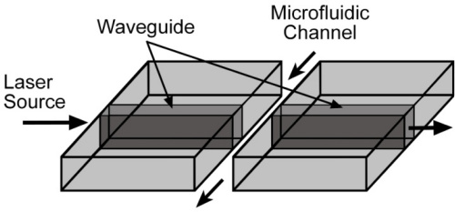 Monolithic integration of optical waveguide and fluidic channel structures in a thiol-ene/methacrylate photopolymer — graphical abstract