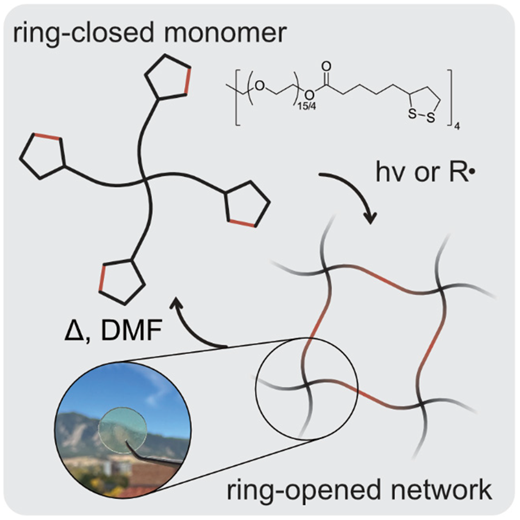 Multifunctional dithiolane monomers for multi-scale, recyclable light-driven additive manufacturing — graphical abstract