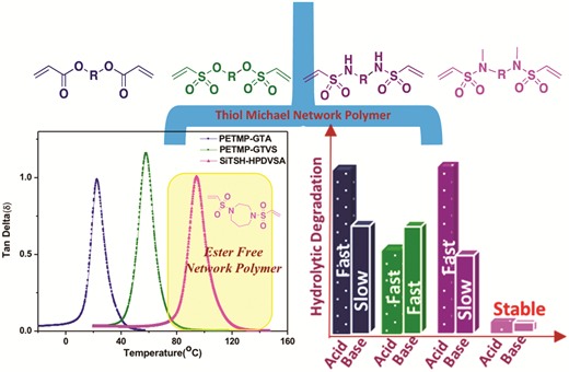 Multifunctional monomers based on vinyl sulfonates and vinyl sulfonamides for crosslinking thiol-Michael polymerizations: monomer reactivity and mechanical behavior — graphical abstract