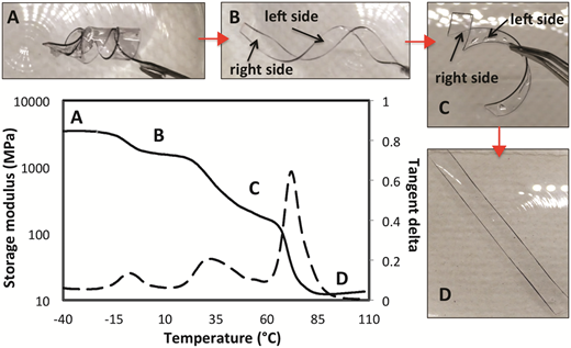 Multiple shape memory polymers based on laminates formed from thiol-click chemistry based polymerizations — graphical abstract