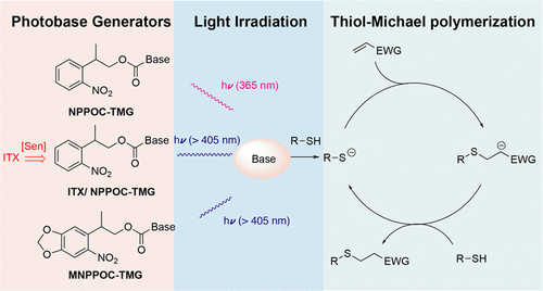 <i>o</i>-Nitrobenzyl-Based Photobase Generators: Efficient Photoinitiators for Visible-Light Induced Thiol-Michael Addition Photopolymerization — graphical abstract