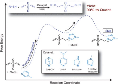 Nitrogen-Centered Nucleophile Catalyzed Thiol-Vinylsulfone Addition, Another Thiol-ene “Click” Reaction — graphical abstract