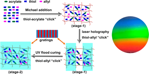 High Performance Graded Rainbow Holograms via Two-Stage Sequential Orthogonal Thiol–Click Chemistry — graphical abstract