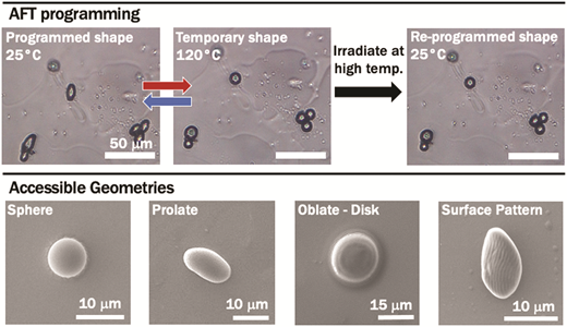 Permanent and reversibly programmable shapes in liquid crystal elastomer microparticles capable of shape switching — graphical abstract