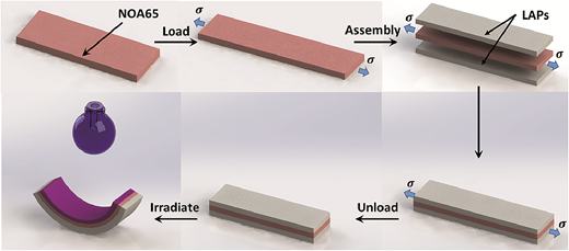 Photo-induced bending in a light-activated polymer laminated composite — graphical abstract