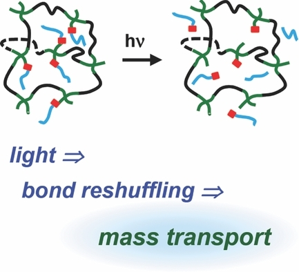 Photoinduced Diffusion Through Polymer Networks — graphical abstract