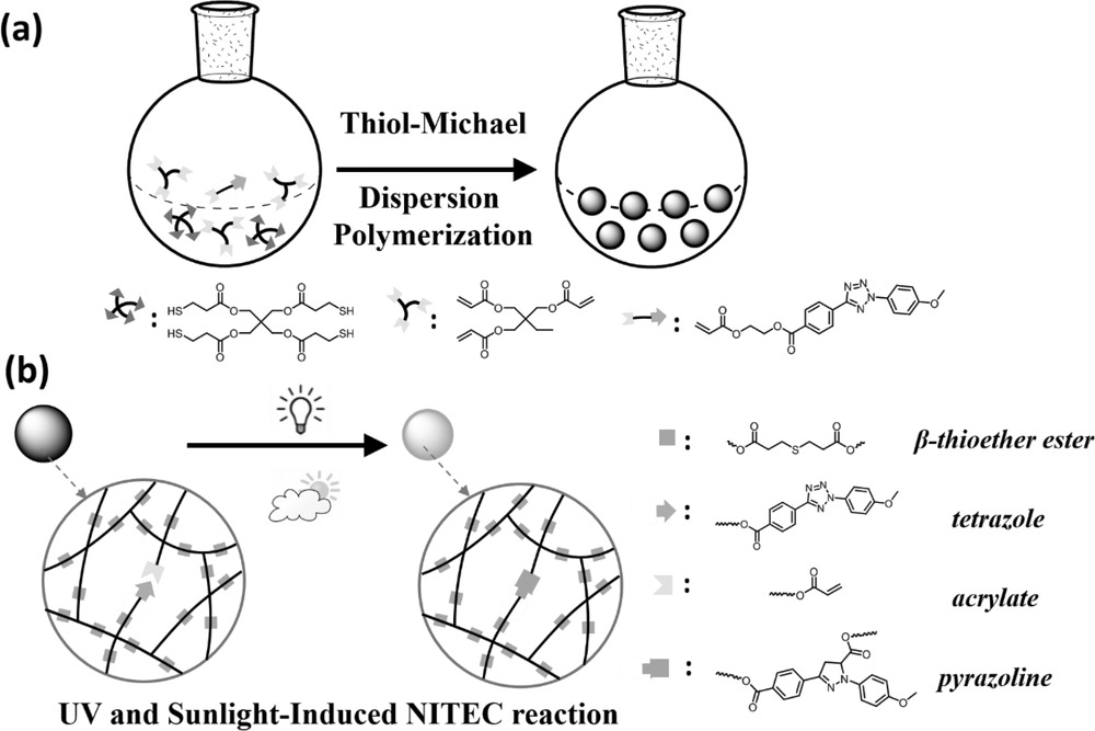 Photoinduced Tetrazole‐Based Functionalization of Off‐Stoichiometric Clickable Microparticles — graphical abstract