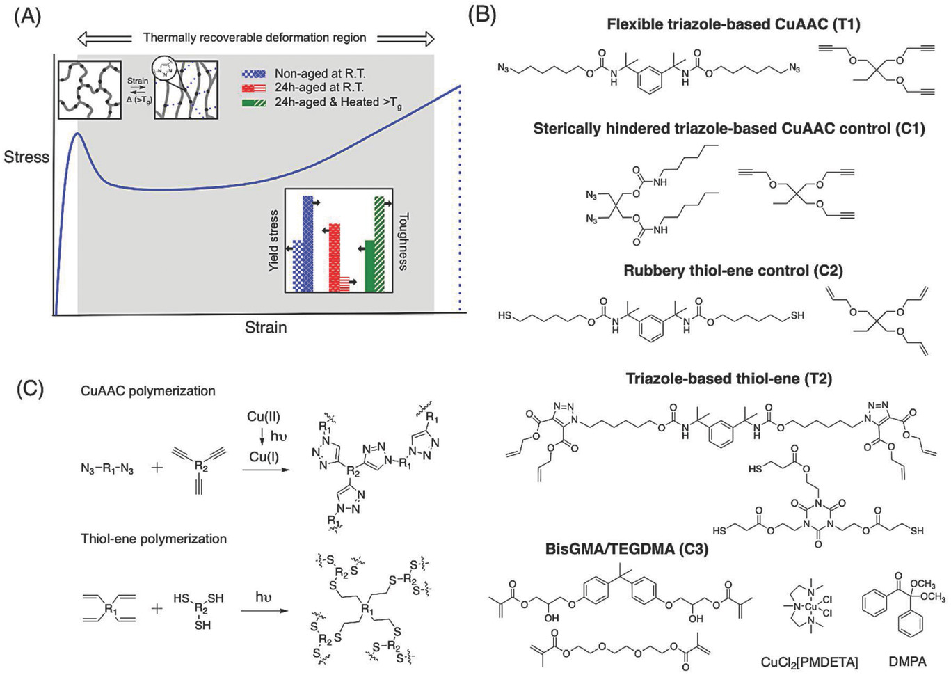 Photopolymerized Triazole‐Based Glassy Polymer Networks with Superior Tensile Toughness — graphical abstract
