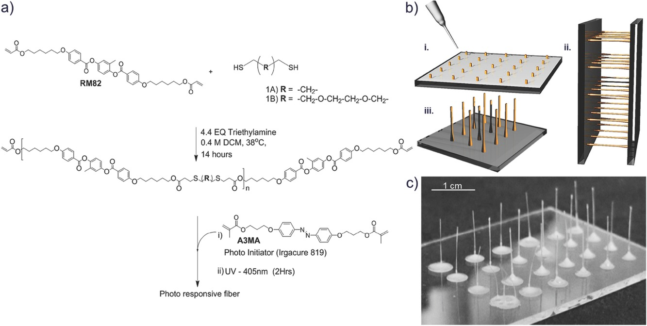 Photoresponsive Fiber Array: Toward Mimicking the Collective Motion of Cilia for Transport Applications — graphical abstract