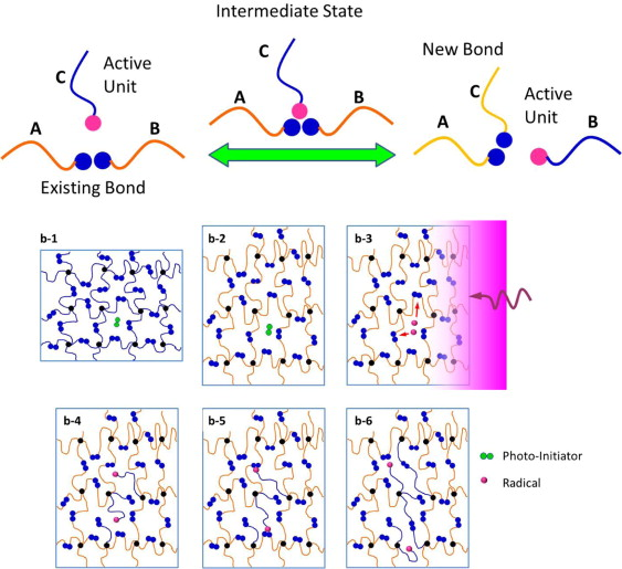 A photoviscoplastic model for photoactivated covalent adaptive networks — graphical abstract