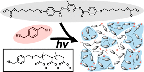 Polymer Network Structure, Properties, and Formation of Liquid Crystalline Elastomers Prepared via Thiol–Acrylate Chain Transfer Reactions — graphical abstract
