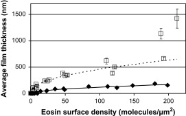 Polymerization behavior and polymer properties of eosin-mediated surface modification reactions — graphical abstract