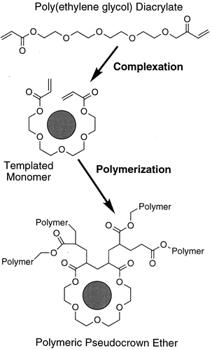 Polymerization Kinetics of Pseudocrown Ether Network Formation for Facilitated Transport Membranes — graphical abstract
