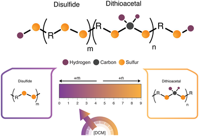 Preparation of Degradable Polymers Containing Tunable Ratios of Dithioacetals and Disulfides via Mixed Mode Polymerization — graphical abstract