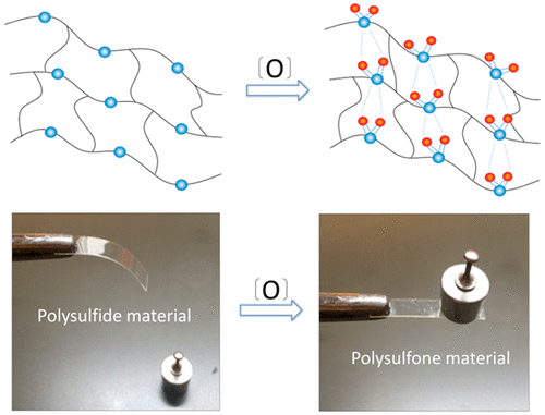 Pristine Polysulfone Networks as a Class of Polysulfide-Derived High-Performance Functional Materials — graphical abstract