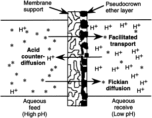 Pseudo-crown ethers as fixed site carriers in facilitated transport membranes — graphical abstract