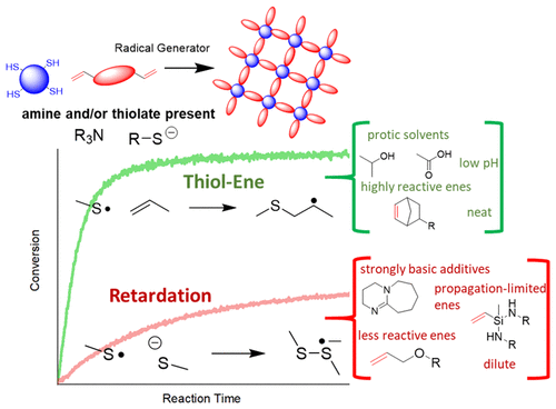 Reaction Environment Effect on the Kinetics of Radical Thiol–Ene Polymerizations in the Presence of Amines and Thiolate Anions — graphical abstract