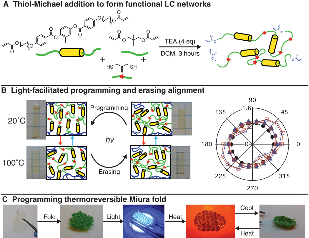 A readily programmable, fully reversible shape-switching material — graphical abstract
