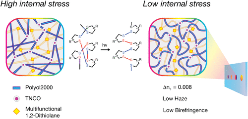 High Refractive Index, Low Birefringence Holographic Materials via the Homopolymerization of 1,2-Dithiolanes — graphical abstract