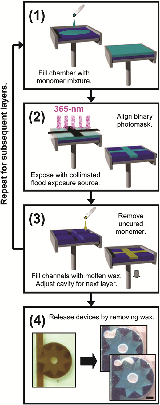 Robust polymer microfluidic device fabrication via contact liquid photolithographic polymerization (CLiPP) — graphical abstract