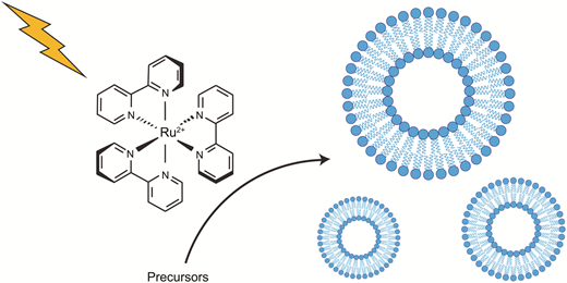 Ruthenium photoredox-triggered phospholipid membrane formation — graphical abstract