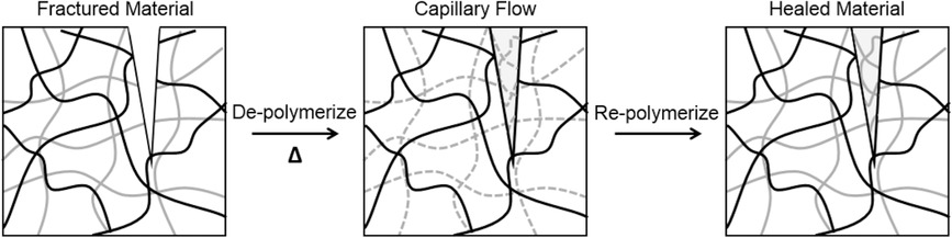 Scaffolded Thermally Remendable Hybrid Polymer Networks — graphical abstract