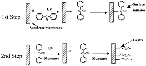 A Novel Sequential Photoinduced Living Graft Polymerization — graphical abstract
