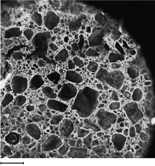 In situ fabrication of macroporous polymer networks within microfluidic devices by living radical photopolymerization and leaching — graphical abstract