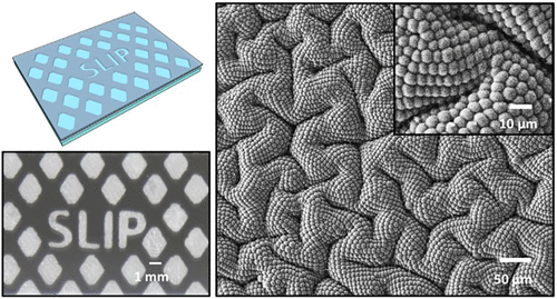 Snakeskin-Inspired Elastomers with Extremely Low Coefficient of Friction under Dry Conditions — graphical abstract