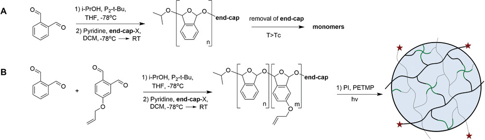 Stimuli‐Responsive Depolymerization of Poly(Phthalaldehyde) Copolymers and Networks — graphical abstract