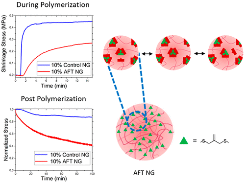 Stress Relaxation via Covalent Dynamic Bonds in Nanogel-Containing Thiol–Ene Resins — graphical abstract
