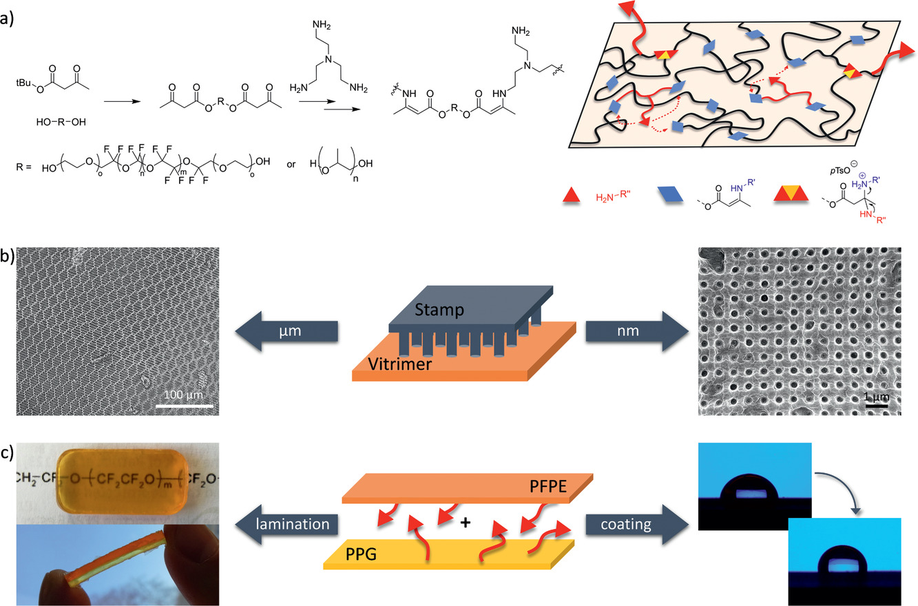 Surface Modification of (Non)‐Fluorinated Vitrimers through Dynamic Transamination — graphical abstract
