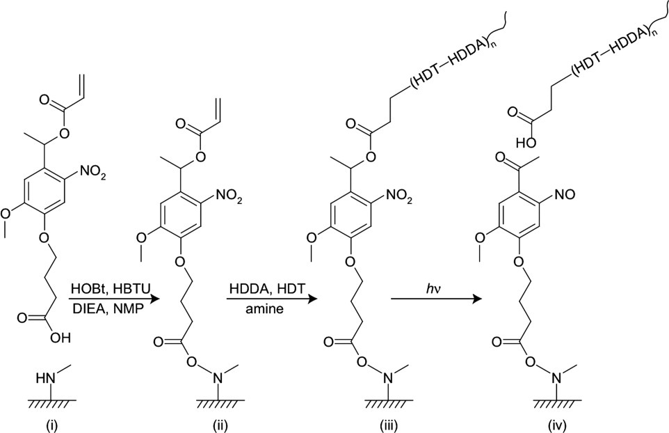 Synthesis, characterization and cleavage of linear polymers attached to silica nanoparticles formed using thiol‐acrylate conjugate addition reactions — graphical abstract