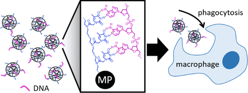 Synthesis and Characterization of Click Nucleic Acid Conjugated Polymeric Microparticles for DNA Delivery Applications — graphical abstract