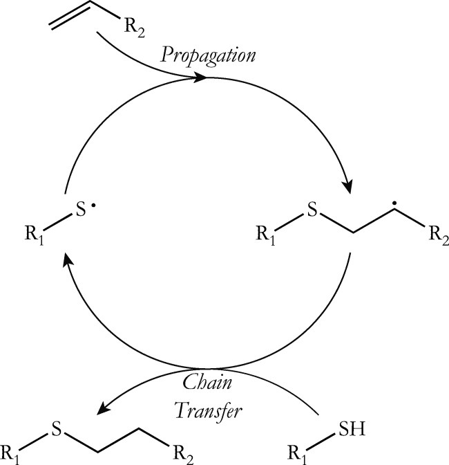 Synthesis and characterization of thiol–ene functionalized siloxanes and evaluation of their crosslinked network properties — graphical abstract