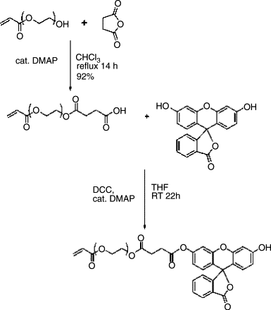 Synthesis and photografting of highly pH-responsive polymer chains — graphical abstract