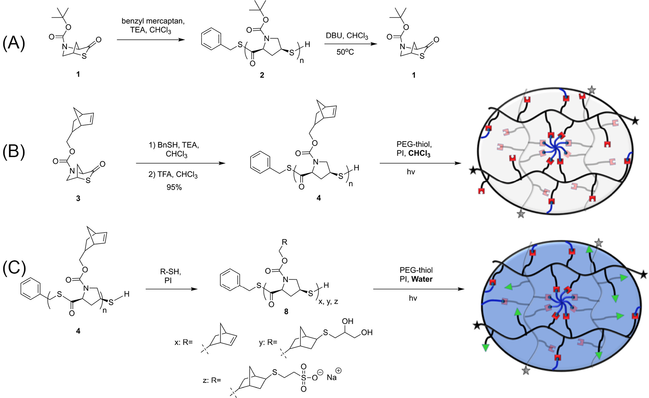 Synthesis, selective decoration and photocrosslinking of                    <scp>self‐immolative</scp>                    poly(thioester)‐PEG hydrogels — graphical abstract