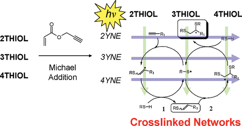 Synthesis, Thiol−Yne “Click” Photopolymerization, and Physical Properties of Networks Derived from Novel Multifunctional Alkynes — graphical abstract