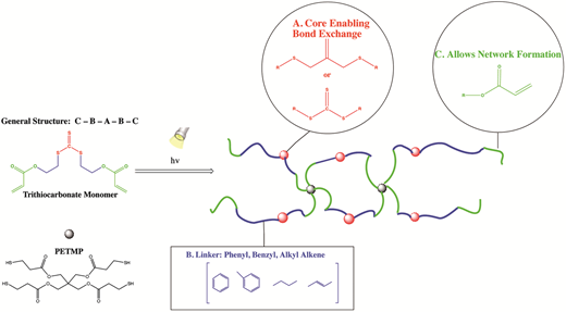 Synthesis of novel trithiocarbonate and allyl sulfide containing monomers — graphical abstract