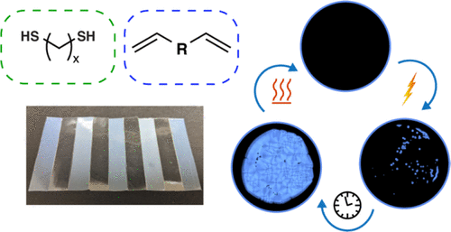 Systematic Modulation and Structure–Property Relationships in Photopolymerizable Thermoplastics — graphical abstract