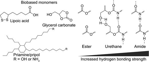 Tailoring fully biobased optical adhesives                    <i>via</i>                    hydrogen-bonding modulation — graphical abstract