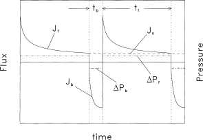 Theoretical and experimental flux maximization by optimization of backpulsing — graphical abstract